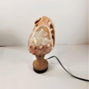 Early 20thc Carved Shell Cameo Lamp 5 3/4" 14.5cms