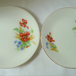 May include: Two white ceramic plates with a gold rim. Each plate features a floral design with red poppies, blue cornflowers, and wheat. The plates are likely for serving food.