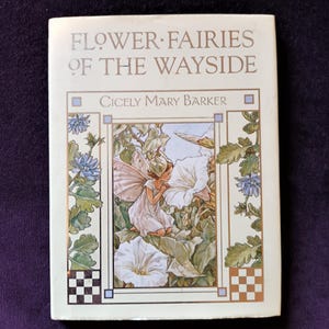 Könnte beinhalten: Ein Vintage-Buch mit dem Titel "Flower Fairies of the Wayside" von Cicely Mary Barker. Das Cover zeigt eine Illustration einer Fee mit weißen Blumen und grünen Blättern, umrahmt von dekorativen Bordüren mit floralen und geometrischen Mustern.