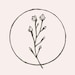Avatar belonging to TashaAugustStudio