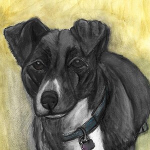 Custom Pet Portraits