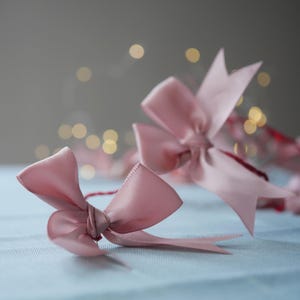 Satin Bow Fairy Lights |  Christmas String Lights | Colourful Christmas Decorations | Holiday Lights