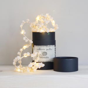 Blush Pink Pom Pom Fairy Lights: Nursery Garland, USB/Battery