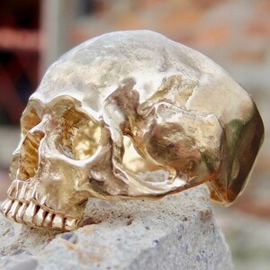 May include: A gold skull ring with a detailed design. The ring is made of solid metal and has a realistic skull design.