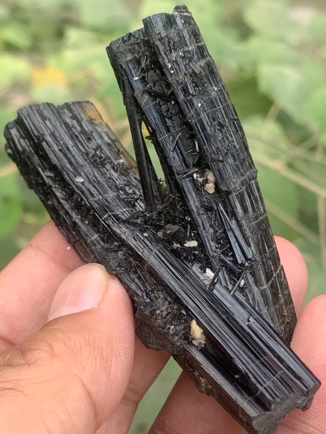 Rarest Shape 515 Carats Lustrous Rare Shape Schorl Tourmaline. - Etsy