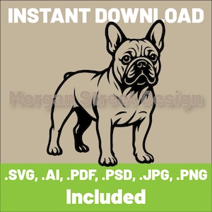 Französische Bulldogge SVG | Hund PNG | Cricut & Silhouette Schneiddatei | Sofortdownload | Frenchie-Liebhaber | Französische Bulldogge03