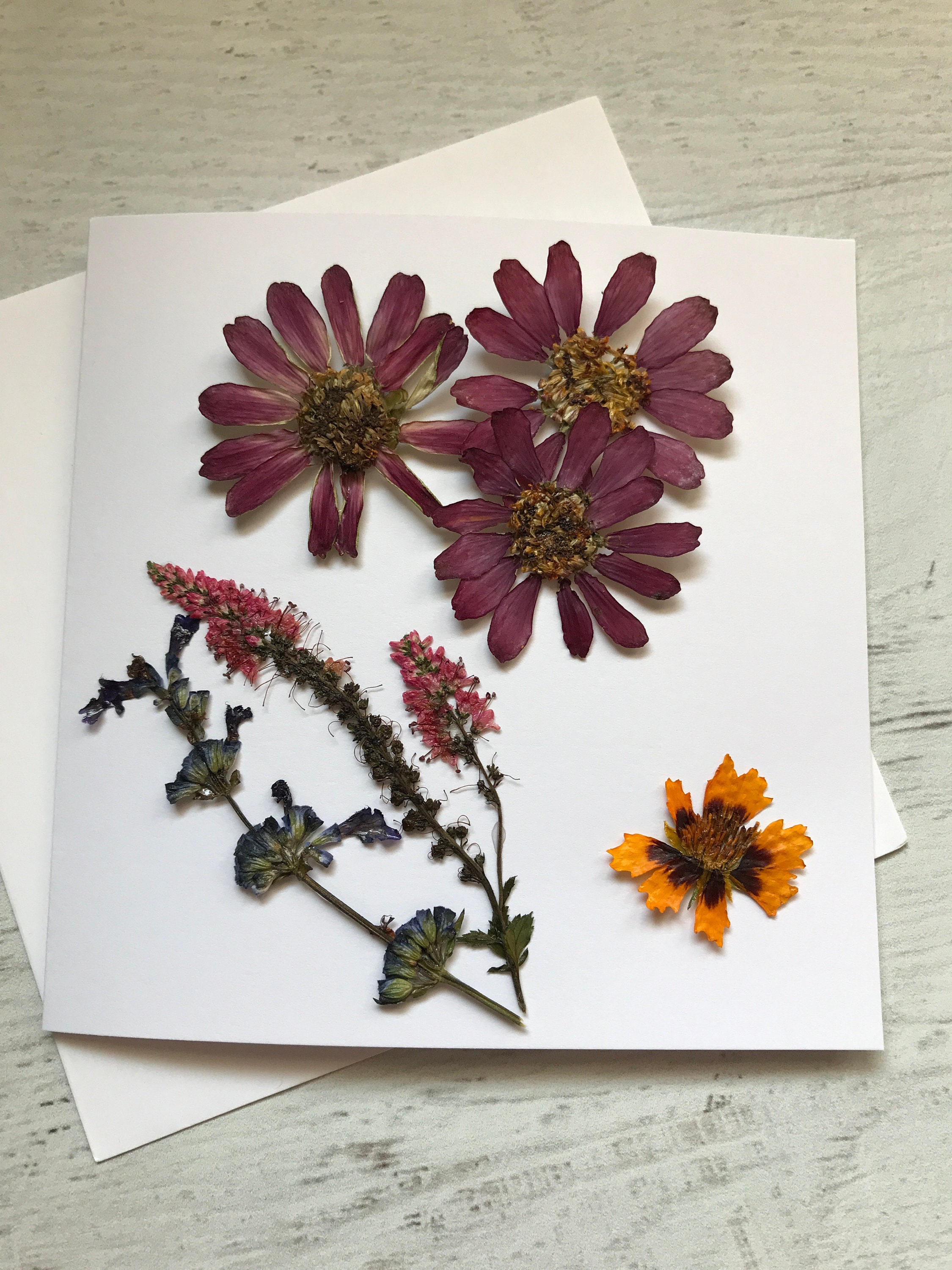 Dried Flowers. Boho style. Dried plants. Greeting Card for Sale by  PandaAvenue