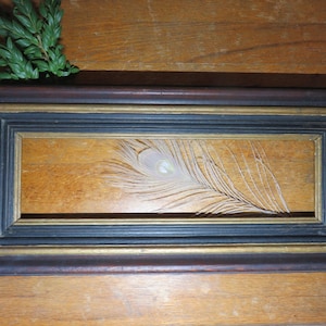 May include: A rectangular framed artwork featuring a peacock feather. The frame has a dark brown outer edge, a black middle layer, and a gold inner edge. The feather is white and cream-colored, set against a light brown background. Green leaves are in the upper left corner.