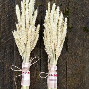 wheat bouquet rustic farm barn wedding bride bridesmaids maid of honor bouquet home decor dried ears of wheat grain ear natural decor eco image 1