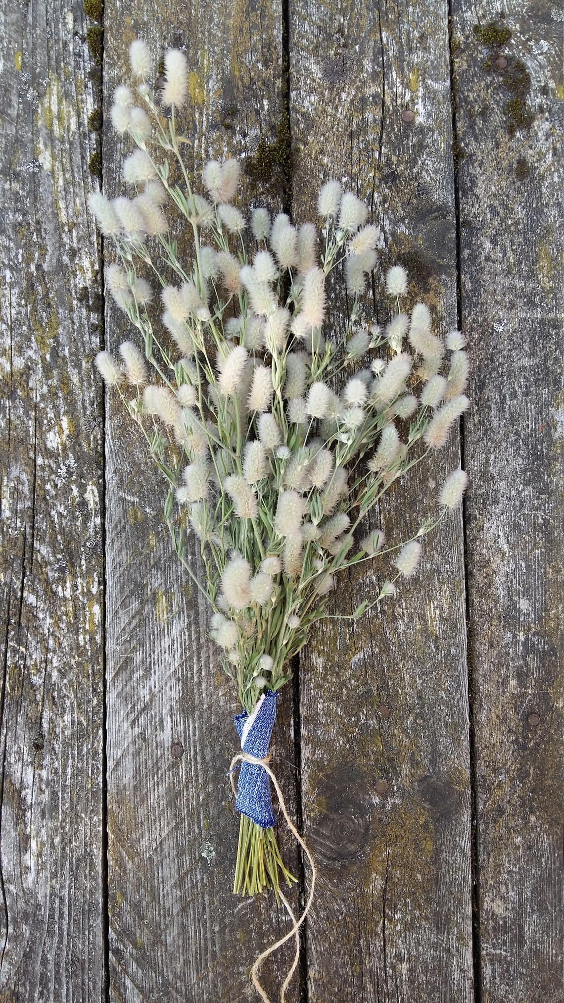 Dried wildflowers bundle bouquet like pussy willow soft meadow Etsy