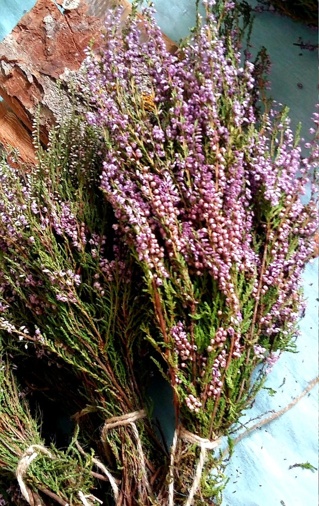 Bunch of heather flower (calluna vulgaris, erica, ling) on shabby