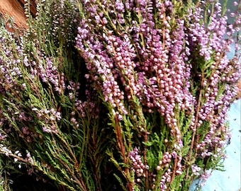 heather bouquet dried flowers purple lilac pink lavender color woodland forest rustic home decor wild herb shabby country old cottage style