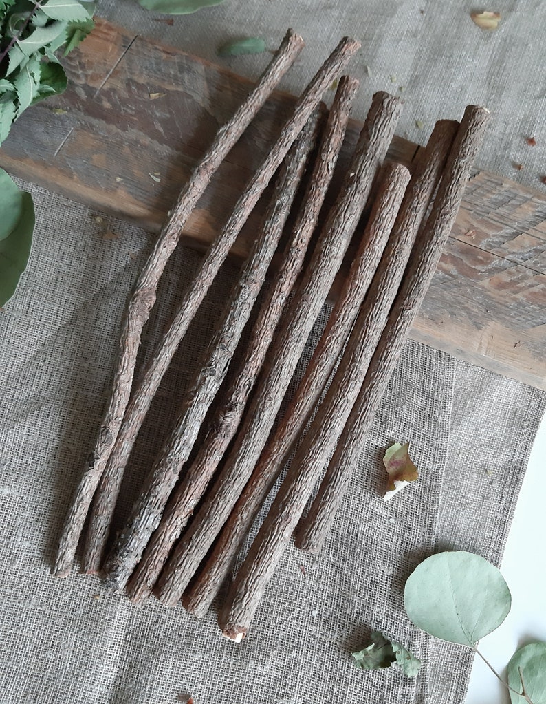 Pine Sticks Bundle Pine Tree Wood Sticks Wooden Twigs Natural Etsy