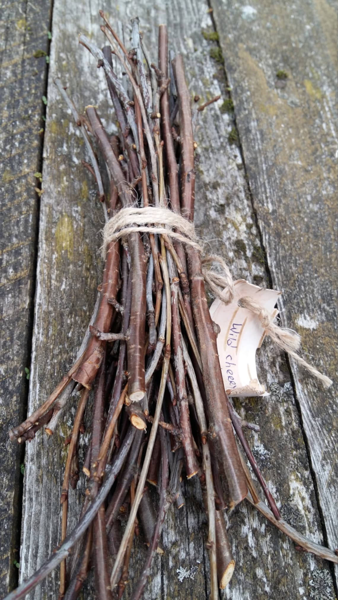 Natural tree branches stick of wood twigs wood branches wild Etsy