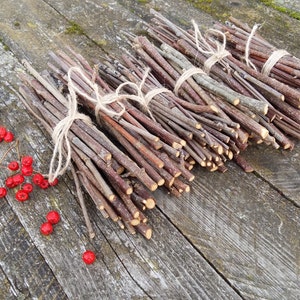 rowan wood sticks mountain ash tree wands branch bundle clearing energy protecting rustic wood forest natural tree decor simple woodland image 2