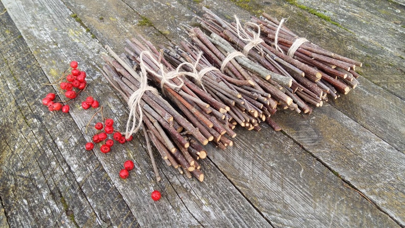 rowan wood sticks mountain ash tree wands branch bundle clearing energy protecting rustic wood forest natural tree decor simple woodland image 2