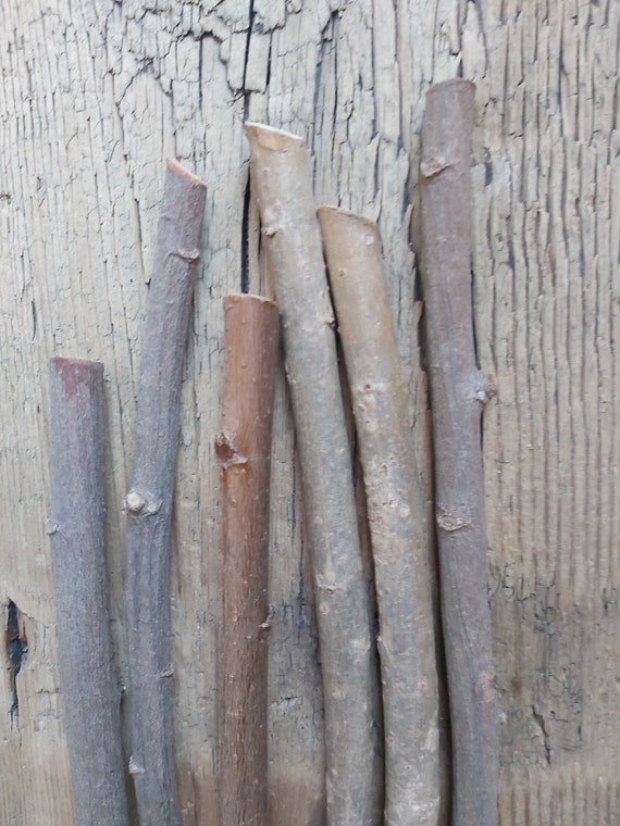 Willow Craft Sticks Set . Natural Wood Willow Tree Branches DIY Decor  Supplies Wooden Sticks Twigs Wands Macrame Arts Crafts Rustic Decor 