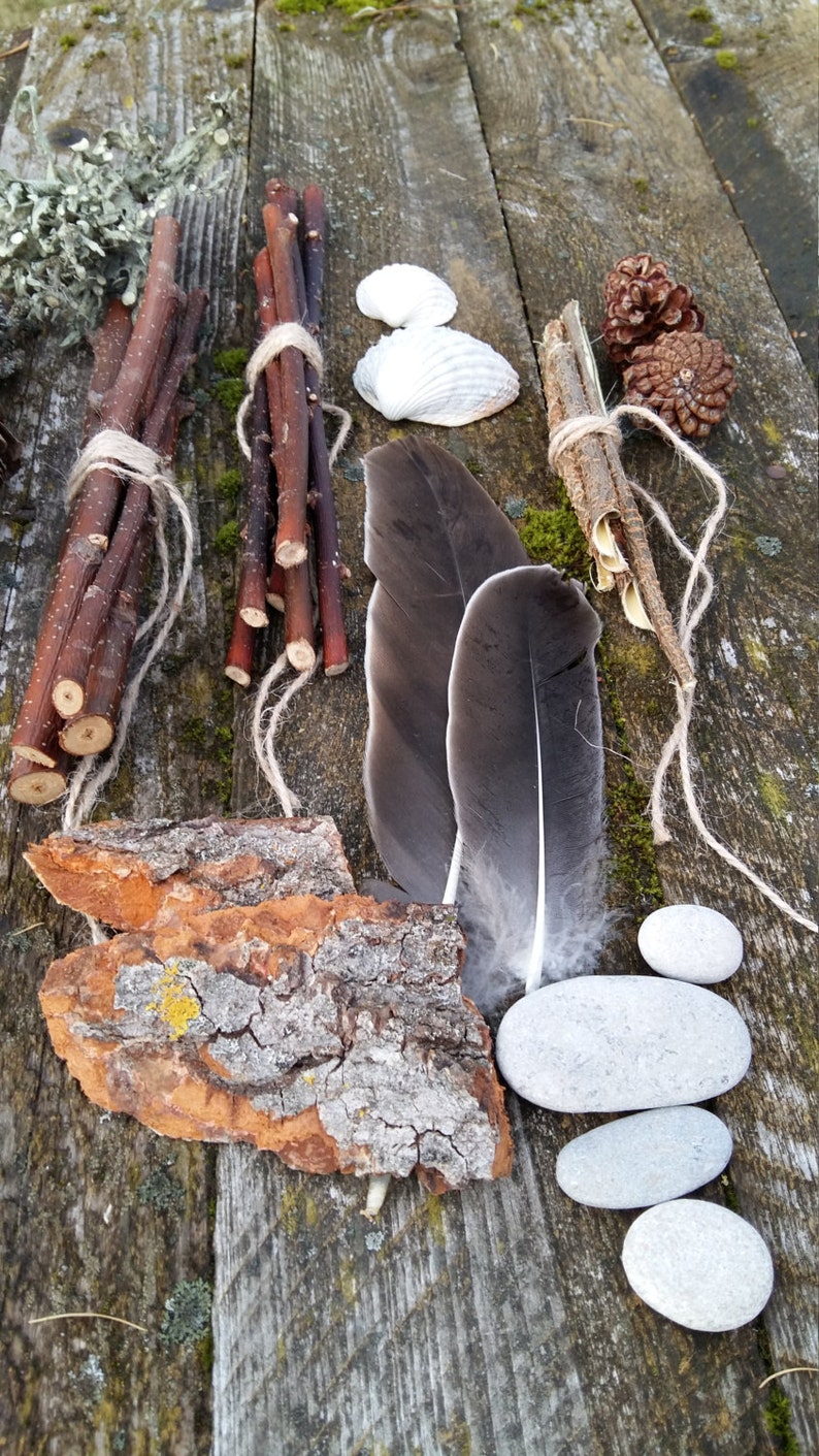 Ensemble de collection de curiosités naturelles étagère à bibelots kit de démarrage cabinet de curiosité naturel bizarrerie science biologie spécimen bois de lichen plage image 1