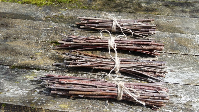 rowan wood sticks mountain ash tree wands branch bundle clearing energy protecting rustic wood forest natural tree decor simple woodland image 3