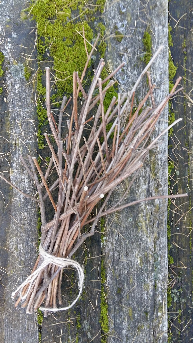 Natural Branches Decor Centerpiece Twigs for Display Vases Etsy