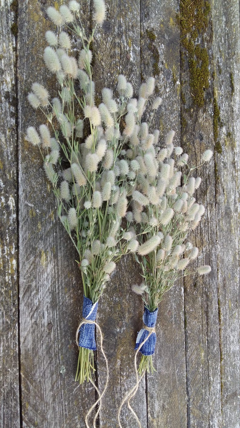 Dried wildflowers bundle bouquet like pussy willow soft meadow Etsy