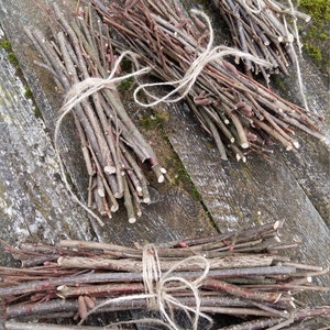 Hazel wood twig bundle hazelnut sacred wood art craft supply magical wand tool wicca druid pagan celtic ritual wood incense smudge primitive image 3