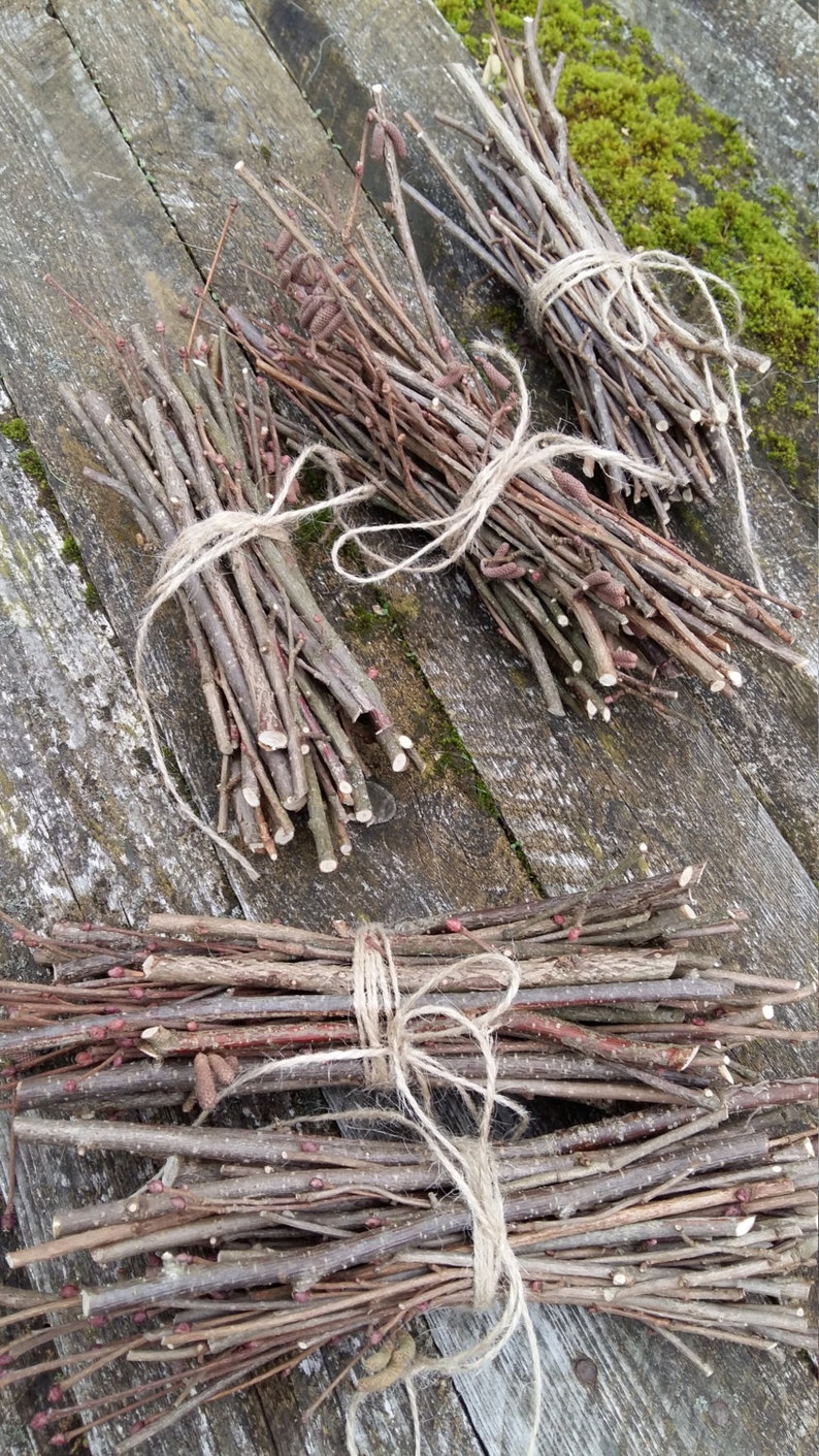 Hazel wood twig bundle hazelnut sacred wood art craft supply magical wand tool wicca druid pagan celtic ritual wood incense smudge primitive image 3