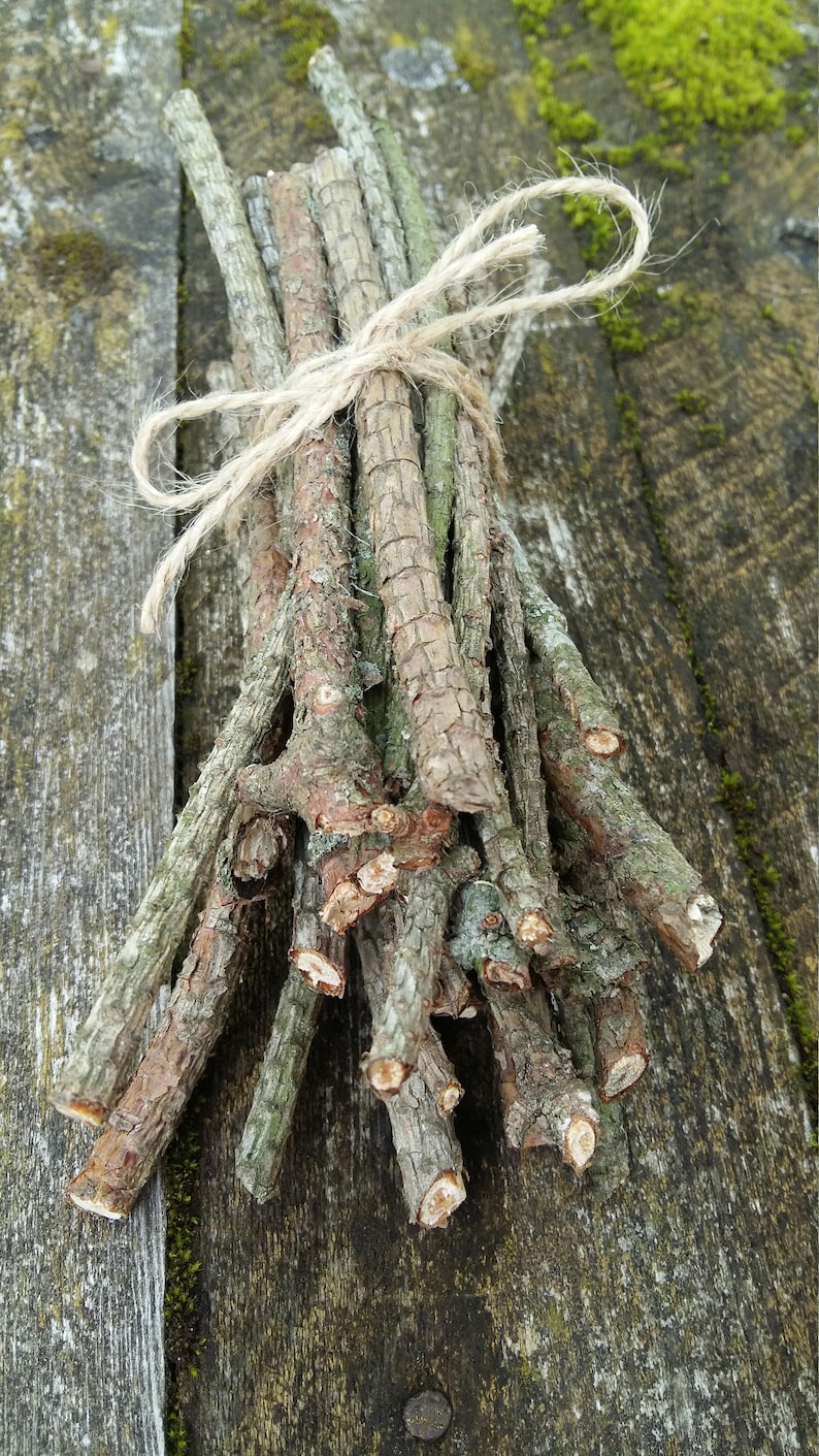 Natural Pine Tree Sticks Wooden Twigs Wood Branches Dried Etsy Natural Pine Tree Sticks Wooden Twigs Wood Branches Dried Etsy