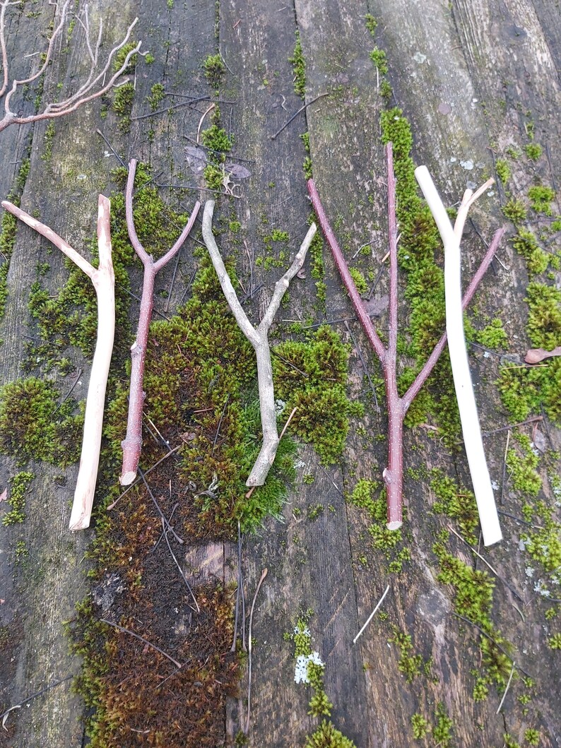Natural Wood Stick Branches Set Decorative Forked Tree Sticks Etsy
