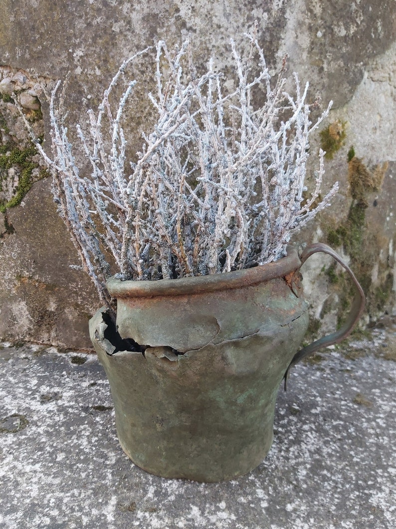 White twigs natural larch branches hand painted twigs vase Etsy