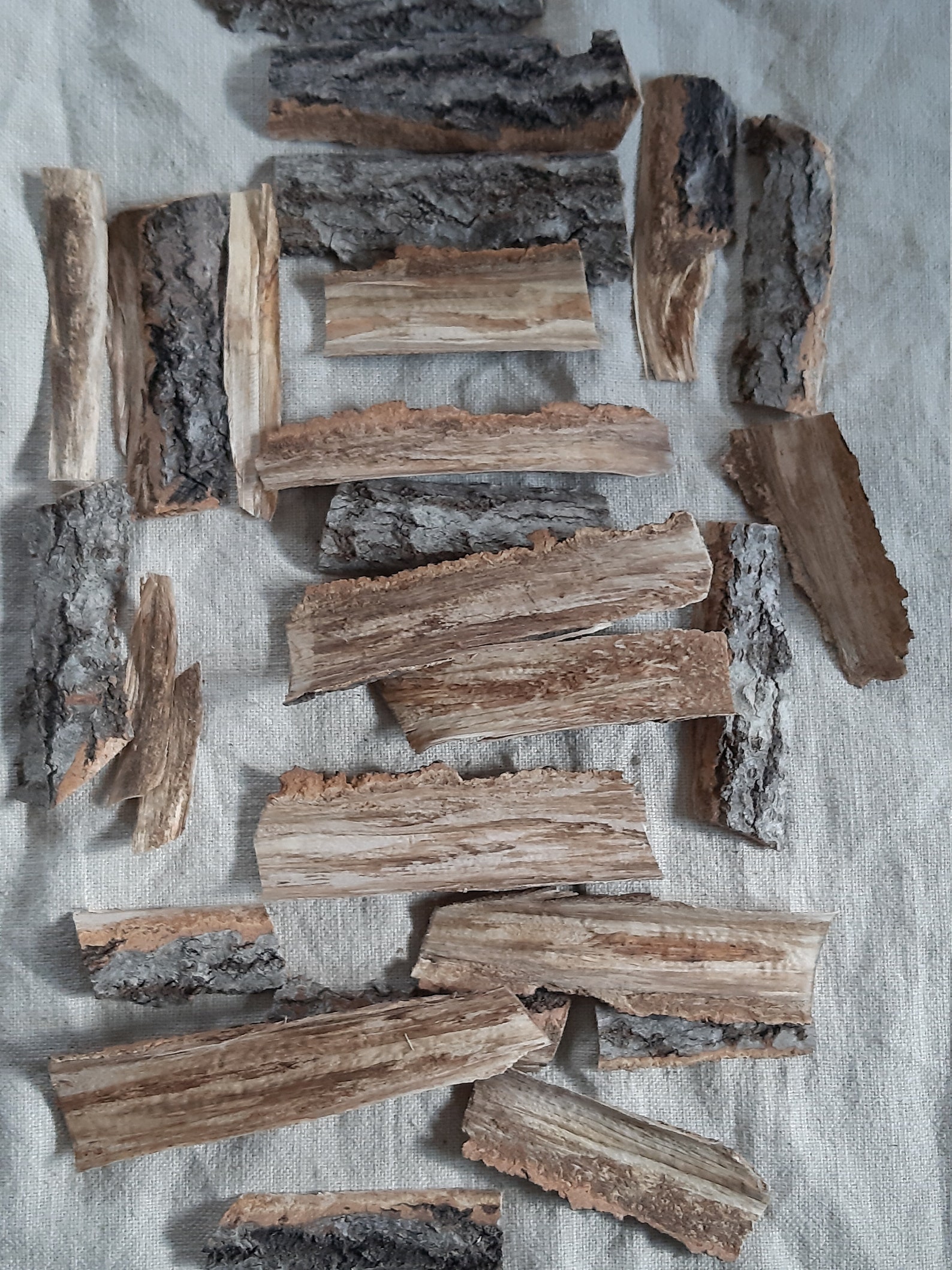 Natural bark wood bark pieces decorative real bark slices Etsy