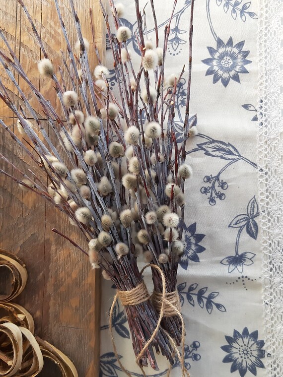 dried-pussy-willow-branches-for-sale-tricia-helfer-tied-and-punished