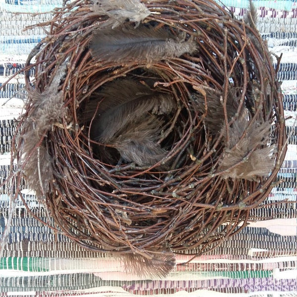 easter birds nest natural decor birch branches twigs rustic home decor handmade primitive nest simple country farmhouse style spring theme