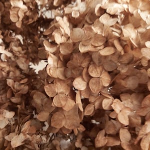 dried hydrangea flowers bouquet stems brownn hortensia florist supplies craft DIY set vase filler home wedding decor natural decoration