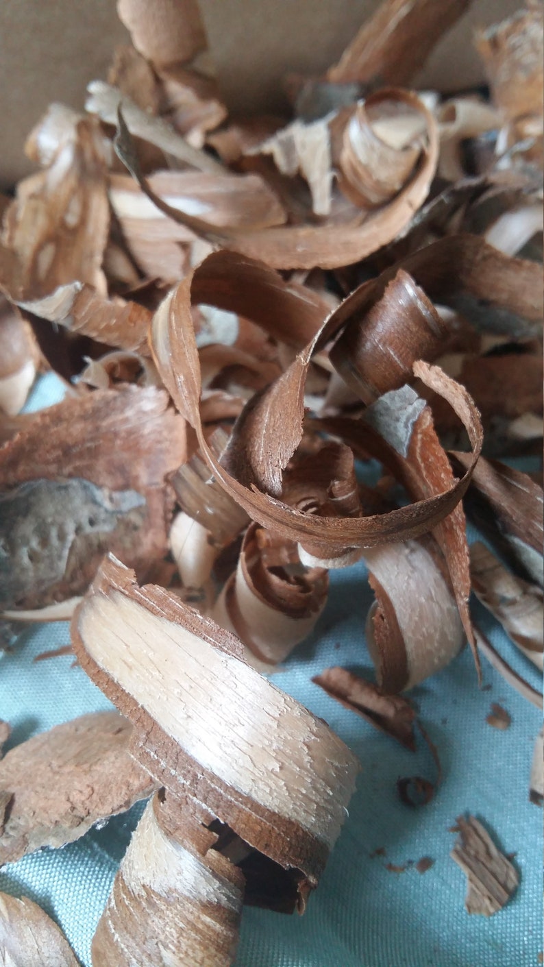 Tree bark natural real pine bark wooden decor reptile tank Etsy