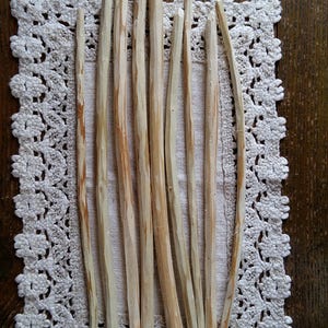 willow tree sticks 9 peeled wood branches wooden decors primitive rustic home DIY crafts supplies for wall decors wand supplies woodcarwing