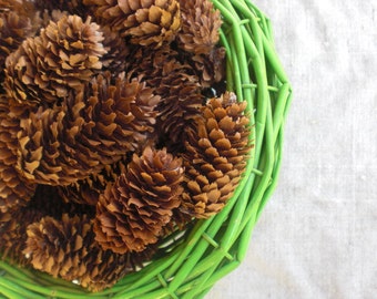 pine spruce cones dried natural craft supplies florist wooden organic woodland wedding decor brown Christmas craft supply everlasting