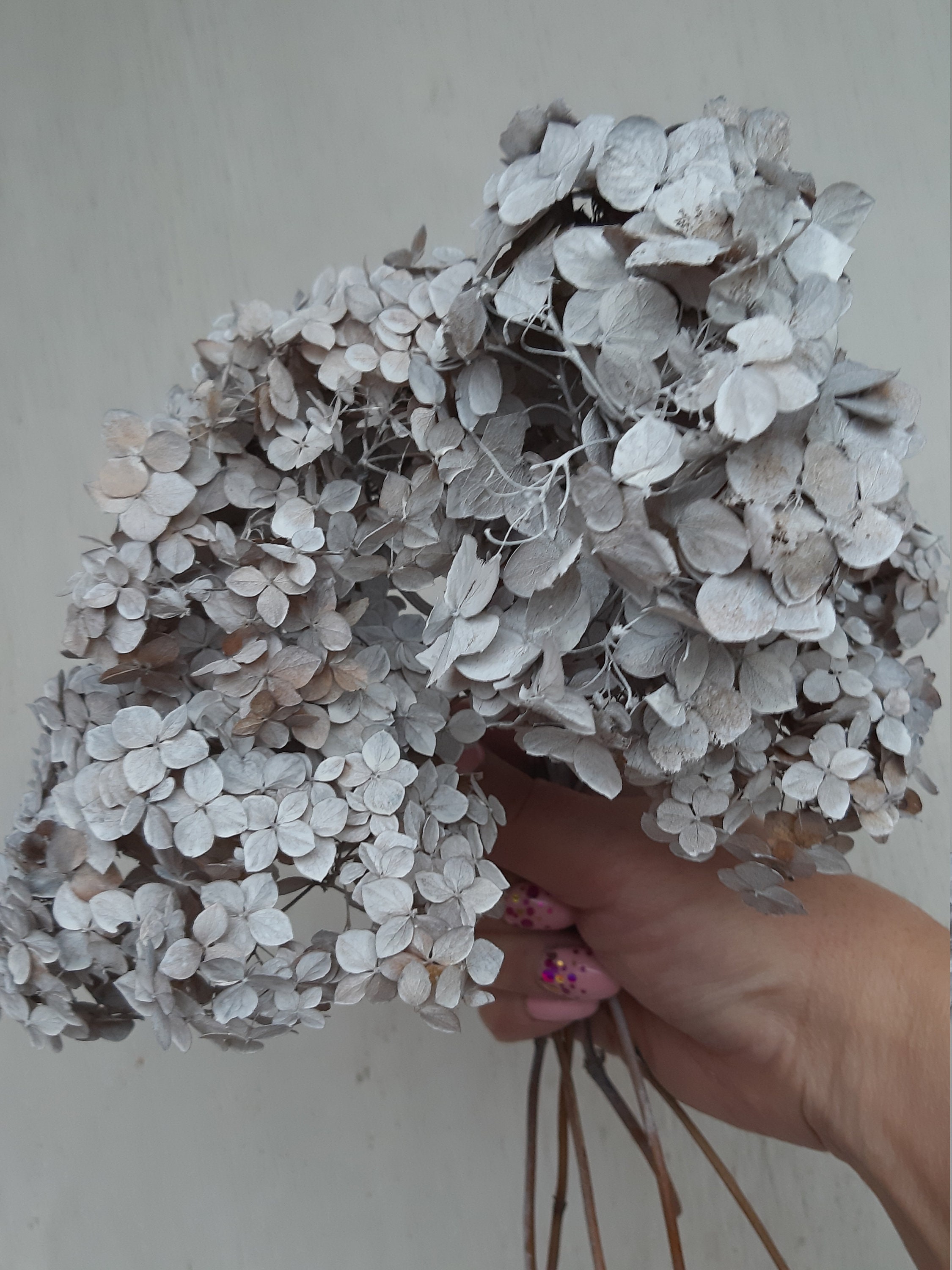 A handmade cottage: How to dry Hydrangea flowers