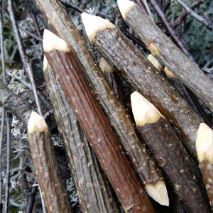 magick wand rowan wood magickal wand sacred tree celtic druid shaman wicca tool protective amulet natural wooden charm magic love spell tool