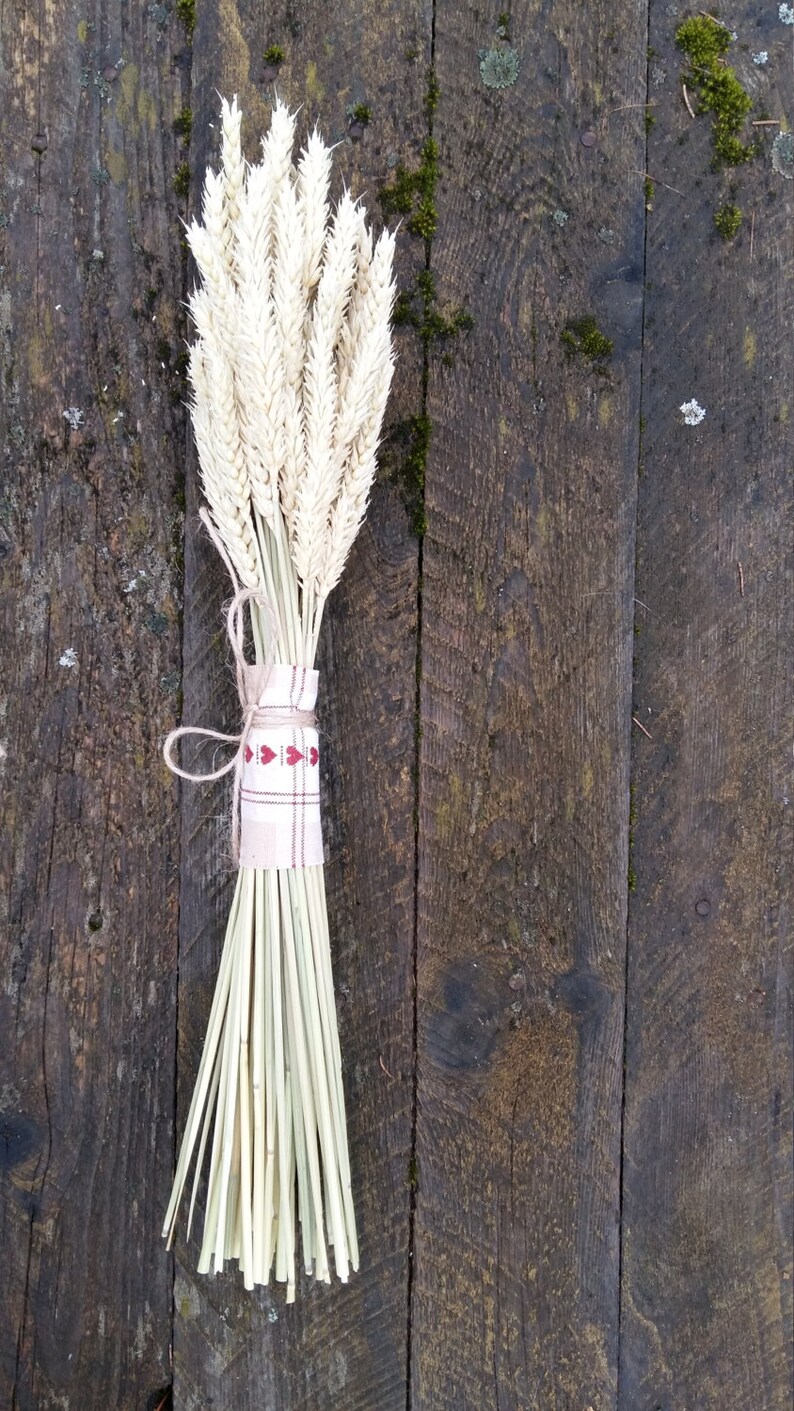 wheat bouquet rustic farm barn wedding bride bridesmaids maid of honor bouquet home decor dried ears of wheat grain ear natural decor eco image 3