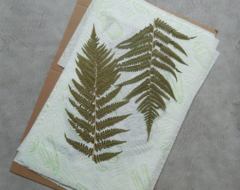 pressed fern natural plant leafs herbarium 6 real dried green fern leaves botanical art craft supplies decorations forest woodland themed