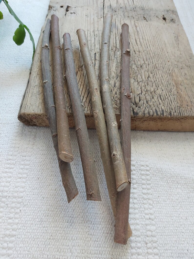 Willow Craft Sticks Set . Natural Wood Willow Tree Branches Etsy UK