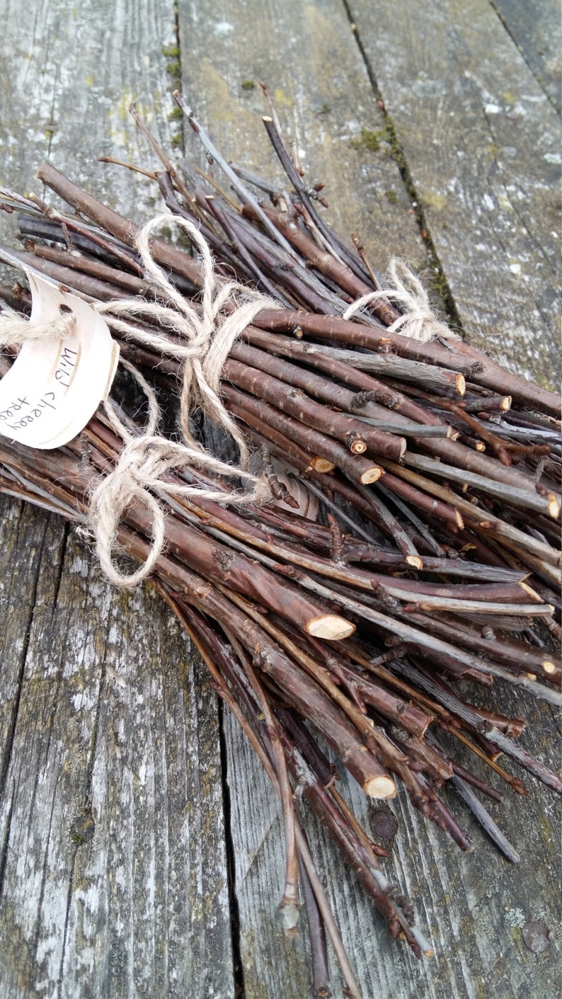 Natural Tree Branches Stick of Wood Twigs Wood Branches Wild Etsy