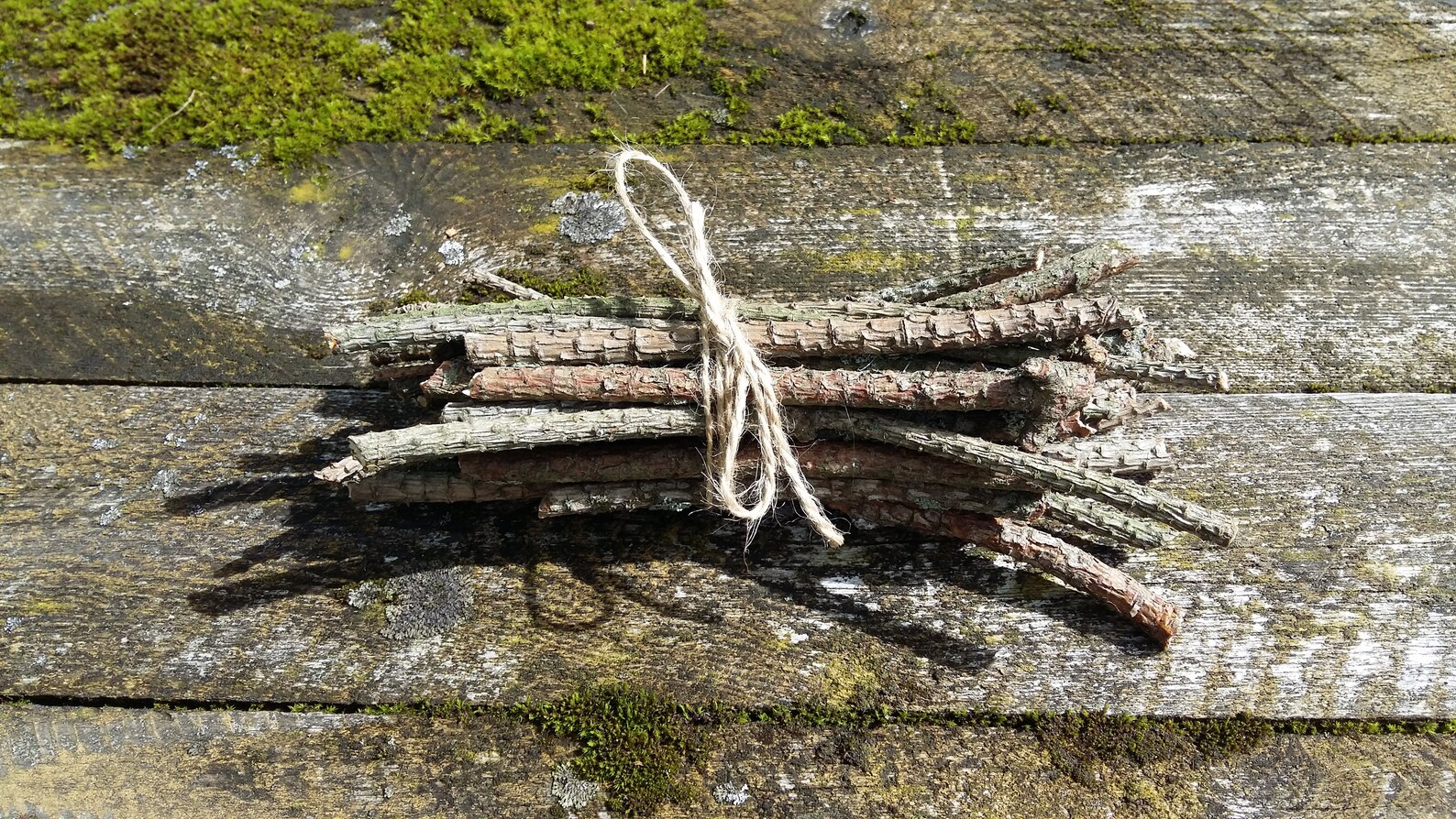 Natural pine tree sticks wooden twigs wood branches dried Etsy