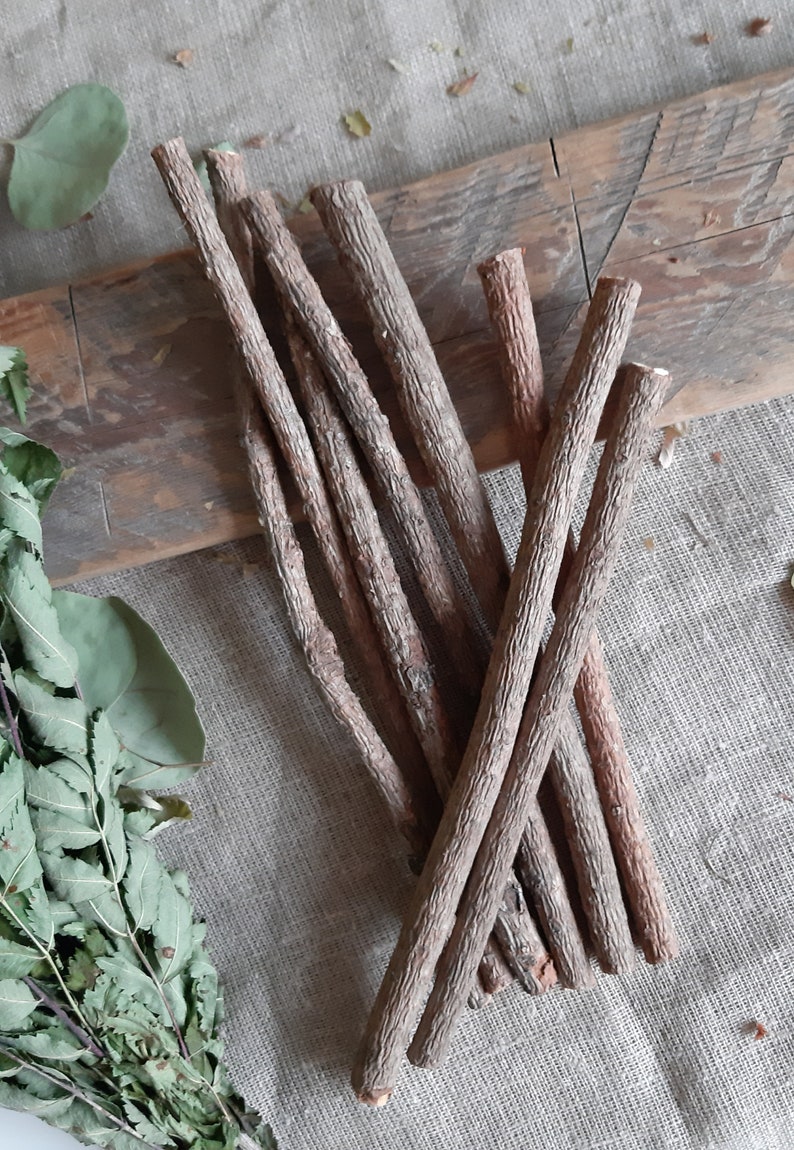 Pine Sticks Bundle Pine Tree Wood Sticks Wooden Twigs Natural Etsy