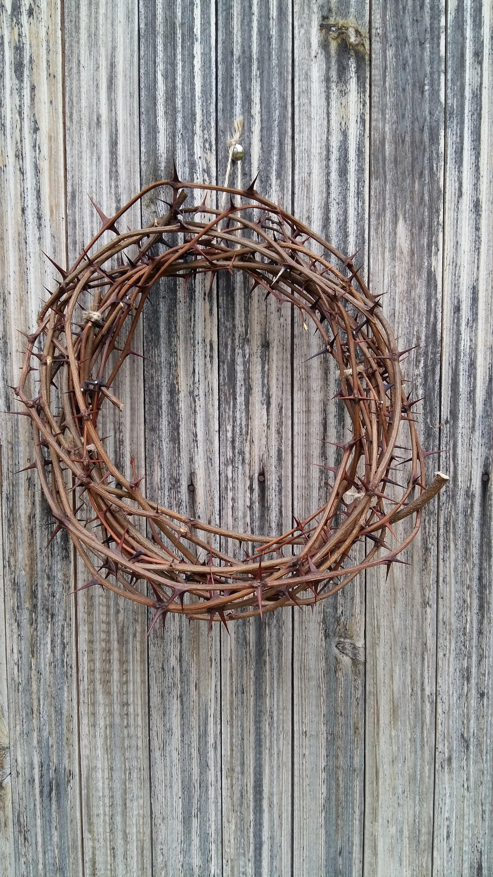 Sharp Real Thorn Wreath Natural Locust Acacia Thorns Crown Home Decor Door  Protection Christ Crown of Thorns Christian Passover Rustic Prop - Etsy