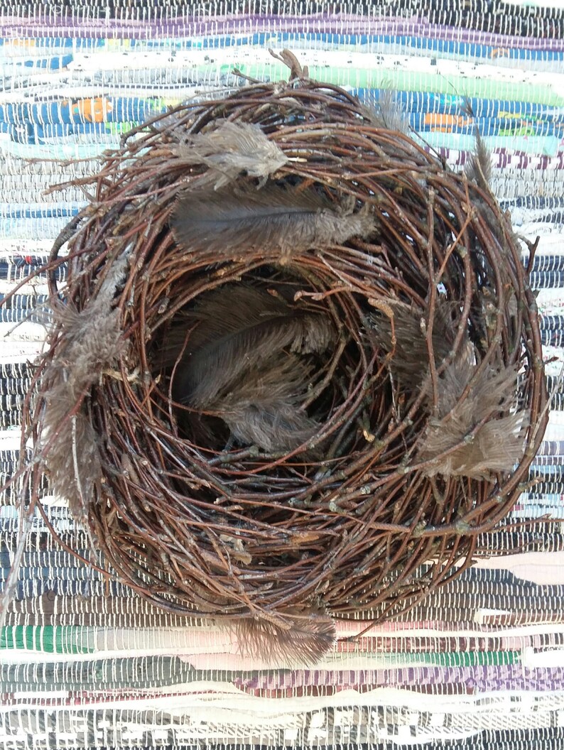 Easter birds nest natural decor birch branches twigs rustic Etsy