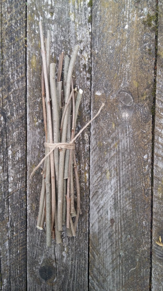 Peeled Craft Twigs Sticks Natural Wood Lilac Tree Branches Rustic