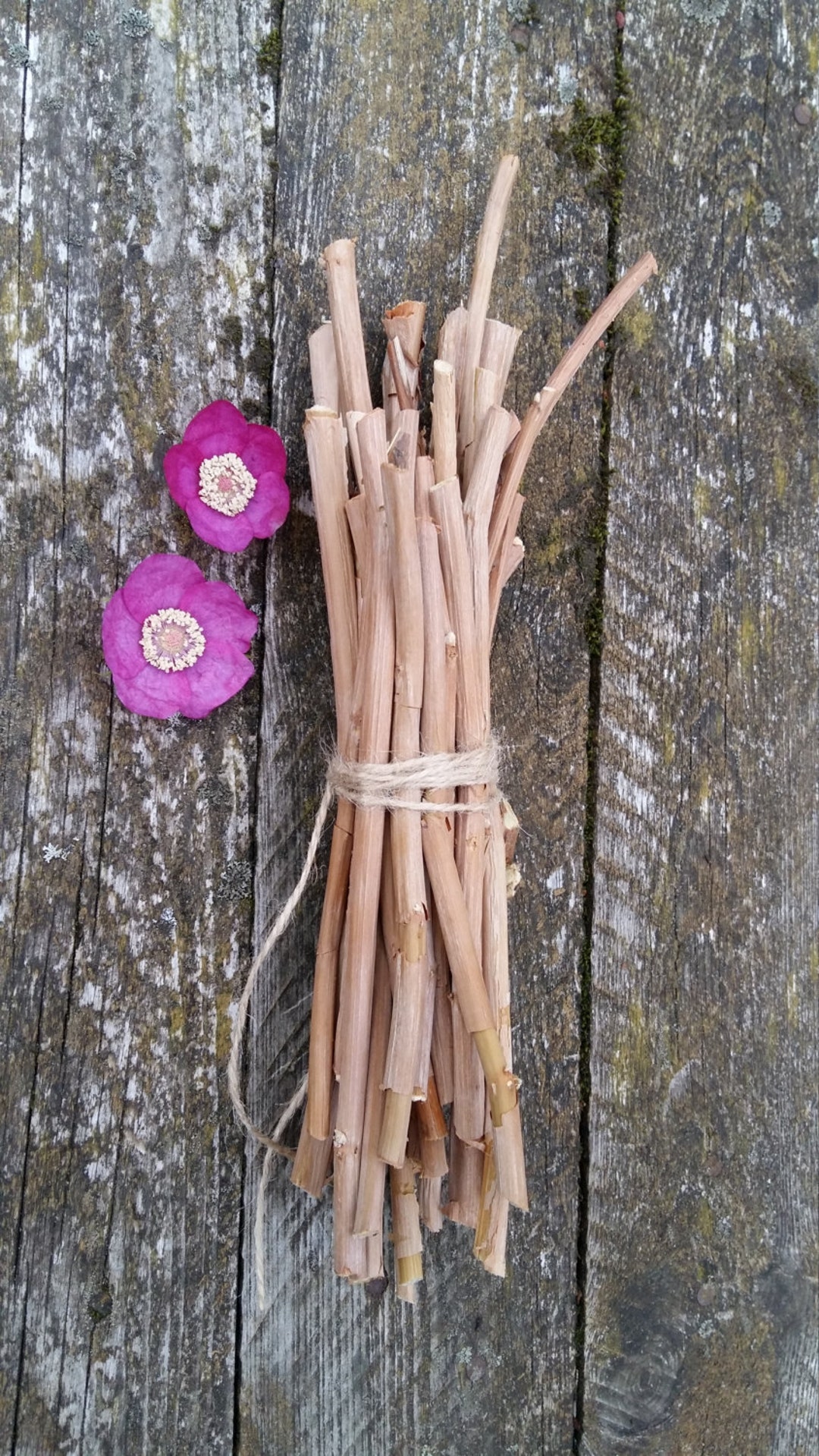 Pine Sticks Bundle Pine Tree Wood Sticks Wooden Twigs Natural Branches Wand  Wood or Home Decor Rustic Primitive Woodland Forest Themed 