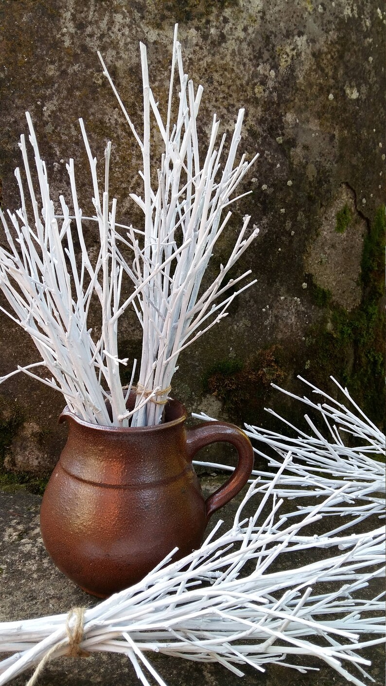 White Twigs Birch Branches Hand Painted Natural Twigs Vase Etsy UK